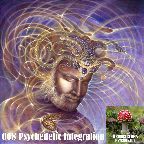 008 Psychedelic Integration
