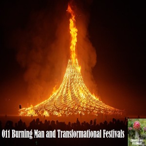011 Burning Man and Transformational Festivals