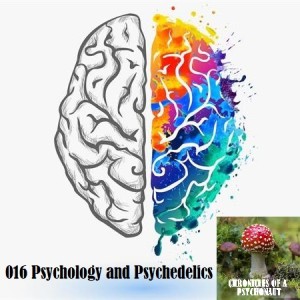 016 Psychology and Psychedelics