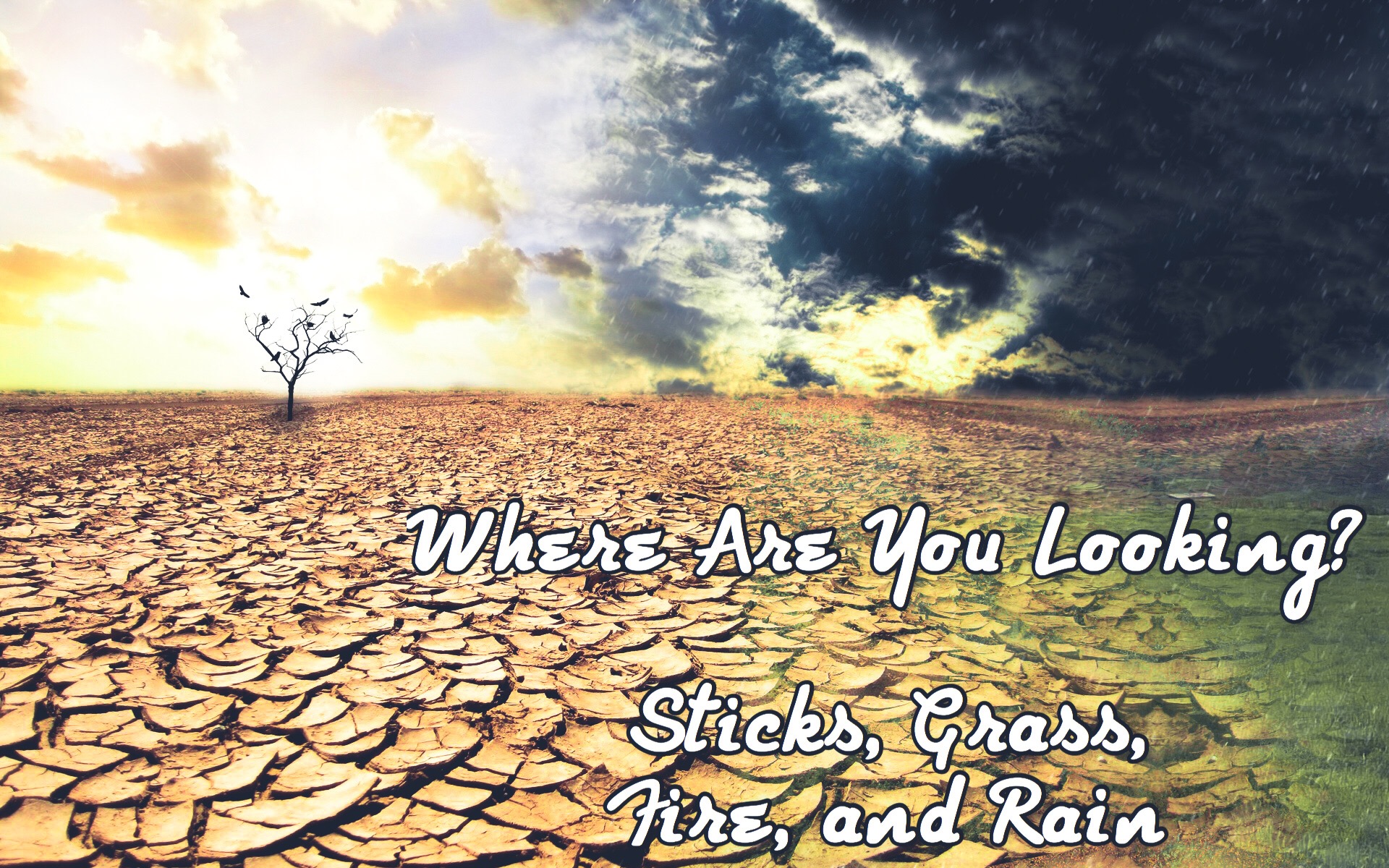 Rev. Sheena Sjöstrand-Post - What are you looking for? (07-22-2018 PM)