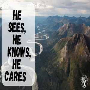 Dr. Janice Sjostrand- He Sees, He Knows, He Cares- (11-22-2020 PM)