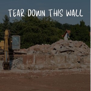 Dr. Janice Sjostrand- ”Tear Down This Wall”- (07-23-2023 AM)