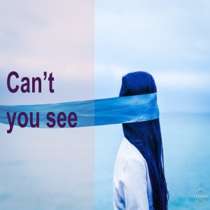 Pastor Sjostrand- Can't You See- Pt. 2 - (01-29-2017 PM)