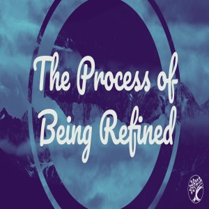 Bro. Matthew Calhoun- The Process of Being Refined- (08-02-2020 PM)