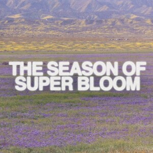 Rev Venny Azzolini-”The Season of Super Bloom”- (06/11/2023 PM)