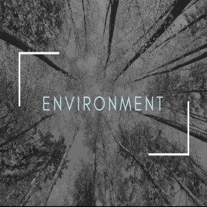 Bishop Sjostrand - Environment - (04-23-2017 AM)