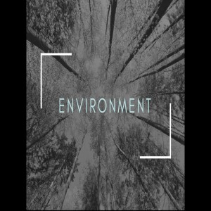 Bishop Sjostrand- Environment- (04-23-2017 AM)