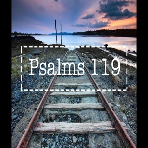 Pastor Sjostrand - Psalms 119 Part 1 (03-03-2019 AM)