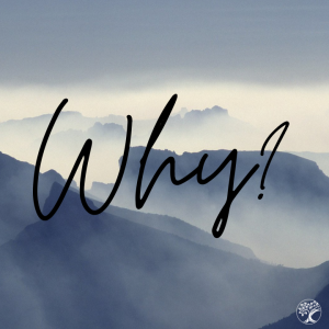 Pastor Keith Sjostrand- Why?- (07-11-2021 AM)