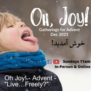 Oh Joy! - Advent -  ”Live…Freely?”