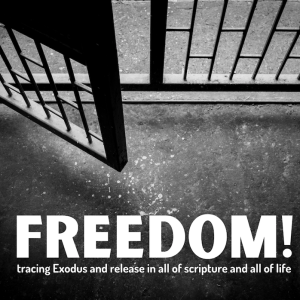 Freedom: Pursuing a God-Scripted Life - Aaron Williams - May 17, 2020