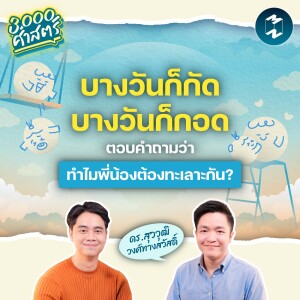 บางวันก็กัด บางวันก็กอด ตอบคำถามว่าทำไมพี่น้องต้องทะเลาะกัน? | 3,000 ศาสตร์ EP.11