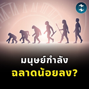 มนุษย์กำลังฉลาดน้อยลง? | MM EP.2380