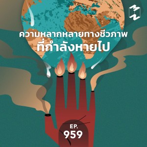 MM959 ความหลากหลายทางชีวภาพที่กำลังหายไป