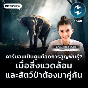 คาร์บอนเป็นศูนย์ลดการสูญพันธ์ุ? เมื่อสิ่งแวดล้อมและสัตว์ต้องมาคู่กัน | MM EP.1548