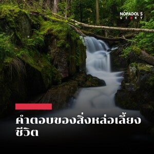 EP 1986 คำตอบของสิ่งหล่อเลี้ยงชีวิต