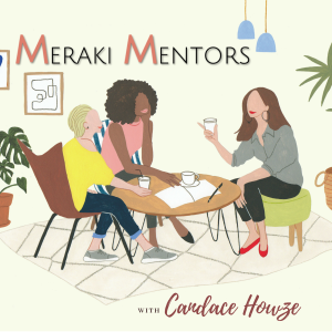 Introducing Meraki Mentors!