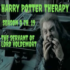 S3 Chapter 19: The Servant of Lord Voldemort