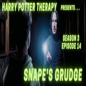 S3 Chapter 14: Snape's Grudge