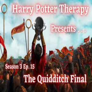 S3 Chapter 15: The Quidditch Final