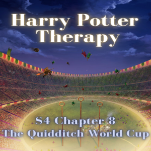 S4 Chapter 8: The Quidditch World Cup