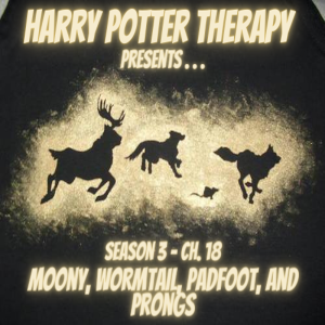 S3 Chapter 18: Moony, Wormtail, Padfoot, and Prongs