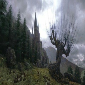 S2 Chapter 5: The Whomping Willow