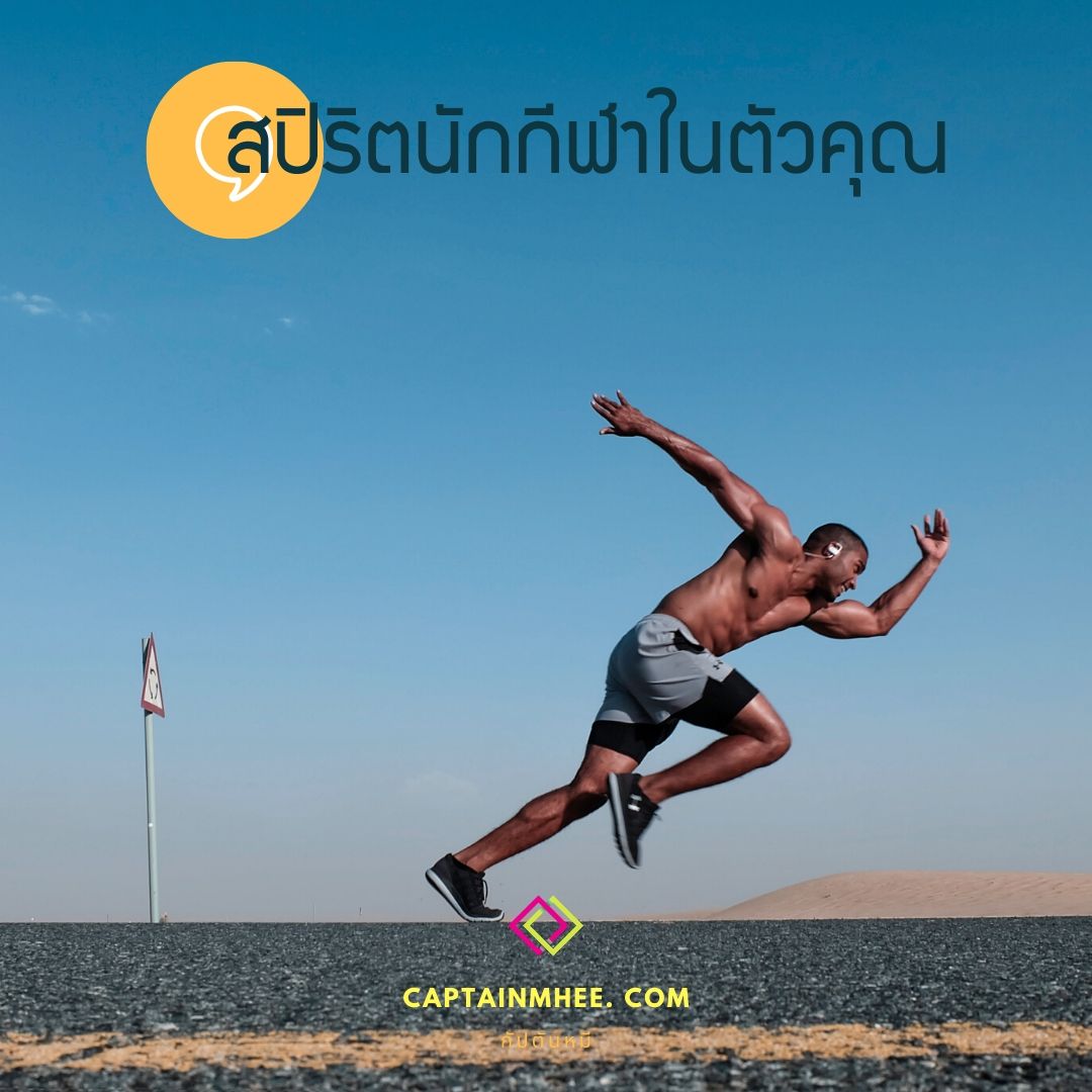 กัปตันหมี มีเรื่องมาเล่า