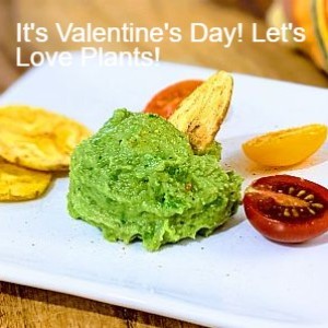 It’s Valentine’s Day! Let’s Love Plants!