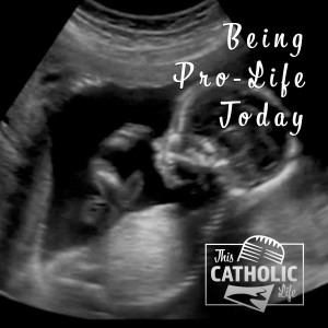 Being Pro-Life Today