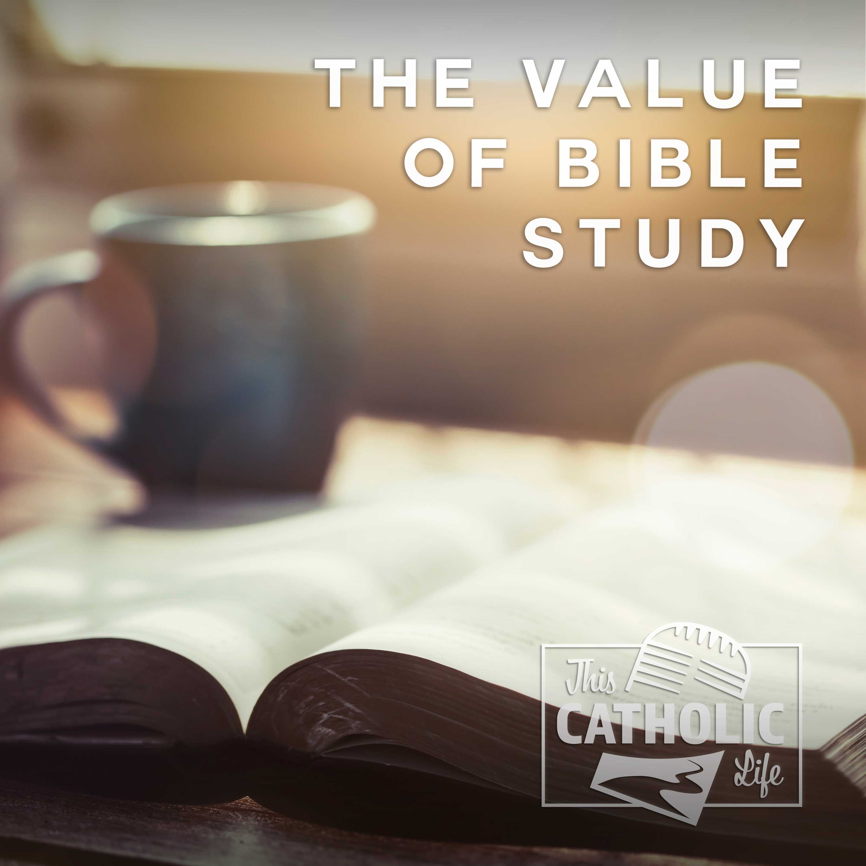 the-value-of-bible-study