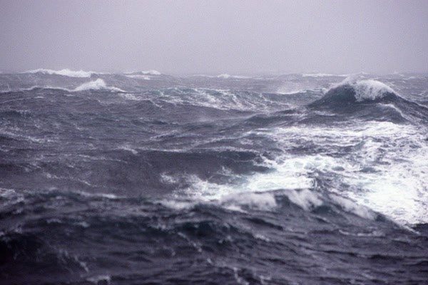 This Ocean Life Podcast