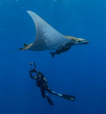 This Ocean Life Podcast