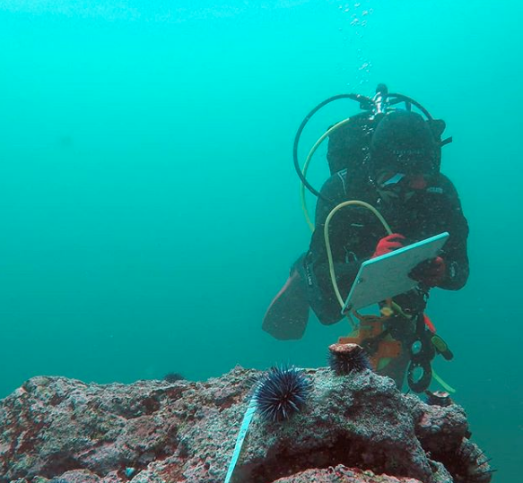 This Ocean Life Podcast