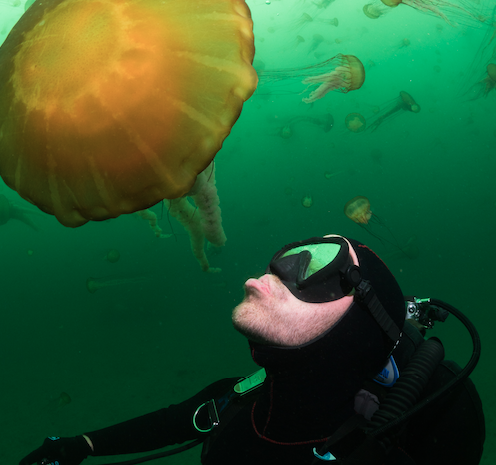 This Ocean Life Podcast