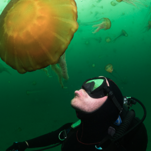 Patrick Webster -- underwater photography, conservation through story telling