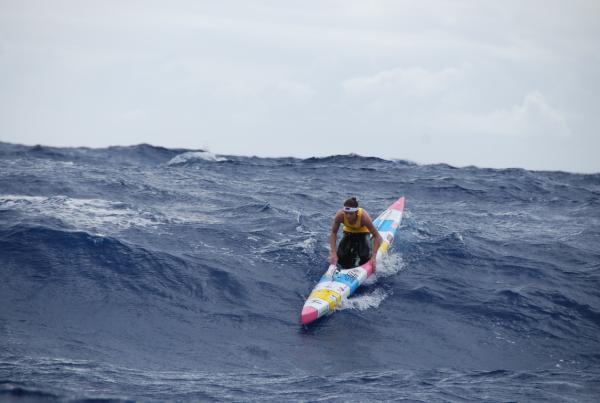 This Ocean Life Podcast