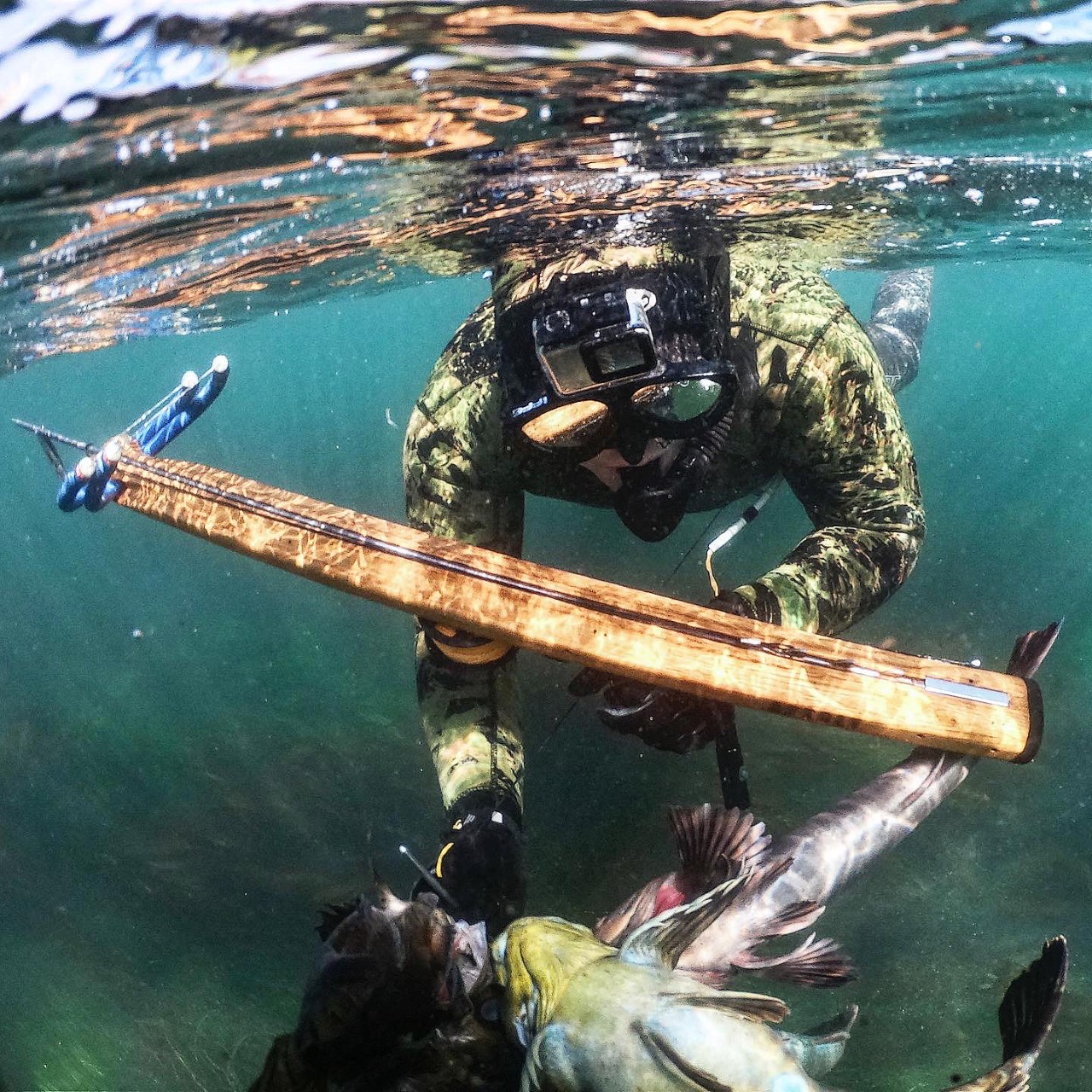 This Ocean Life Podcast