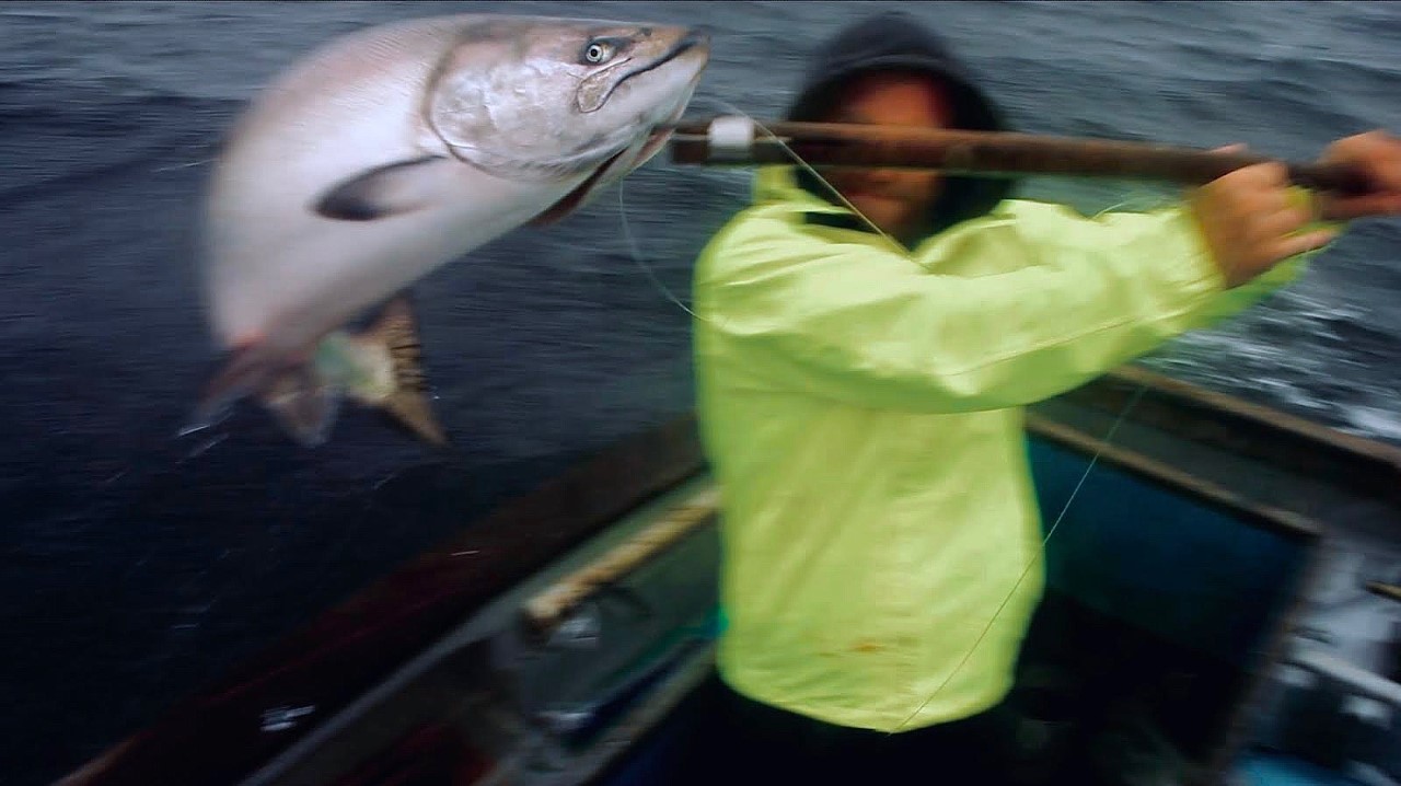 This Ocean Life Podcast