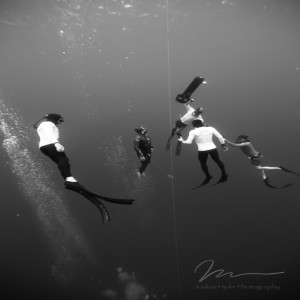 #55: Ted Harty - Freediving instructor, record holder, Immersion Freediving program