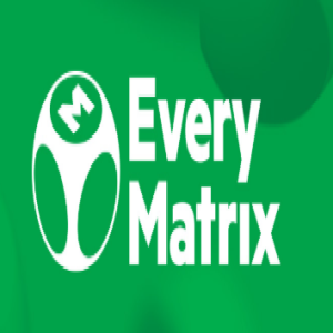 #28 EveryMatrix Company Overview