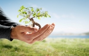 Mon association pour la défense de l’environnement