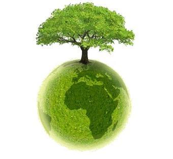 Le programme Mouvement Ecologiste Citoyen (MEC)