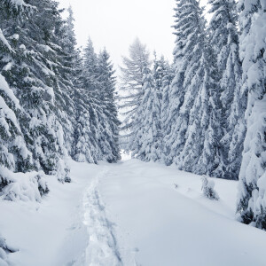 Yoga Nidra: Ski Hike | yogic sleep