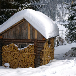 Yoga Nidra for Winter Solstice