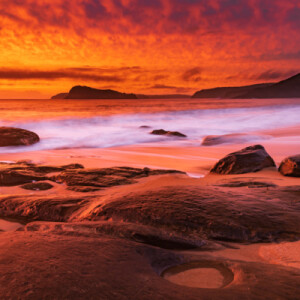 Yoga Nidra - Dream Journey: Summer Solstice