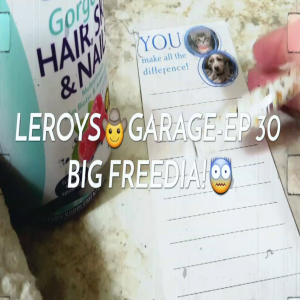 LEROYS🤠GARAGE-EPISODE 30...BIG FREEDIA!😨🎤