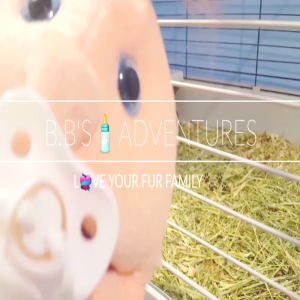 B.B'S🍼ADVENTURES...HUG YOUR FUR FAMILY💝
