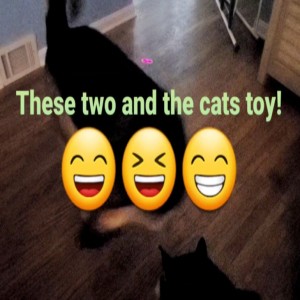 PURFECTTTT Cat🐱Toy For🐶Dogs?