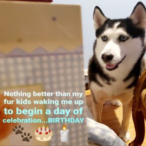 A MILLION REASONS TO CELEBRATE ๐พ